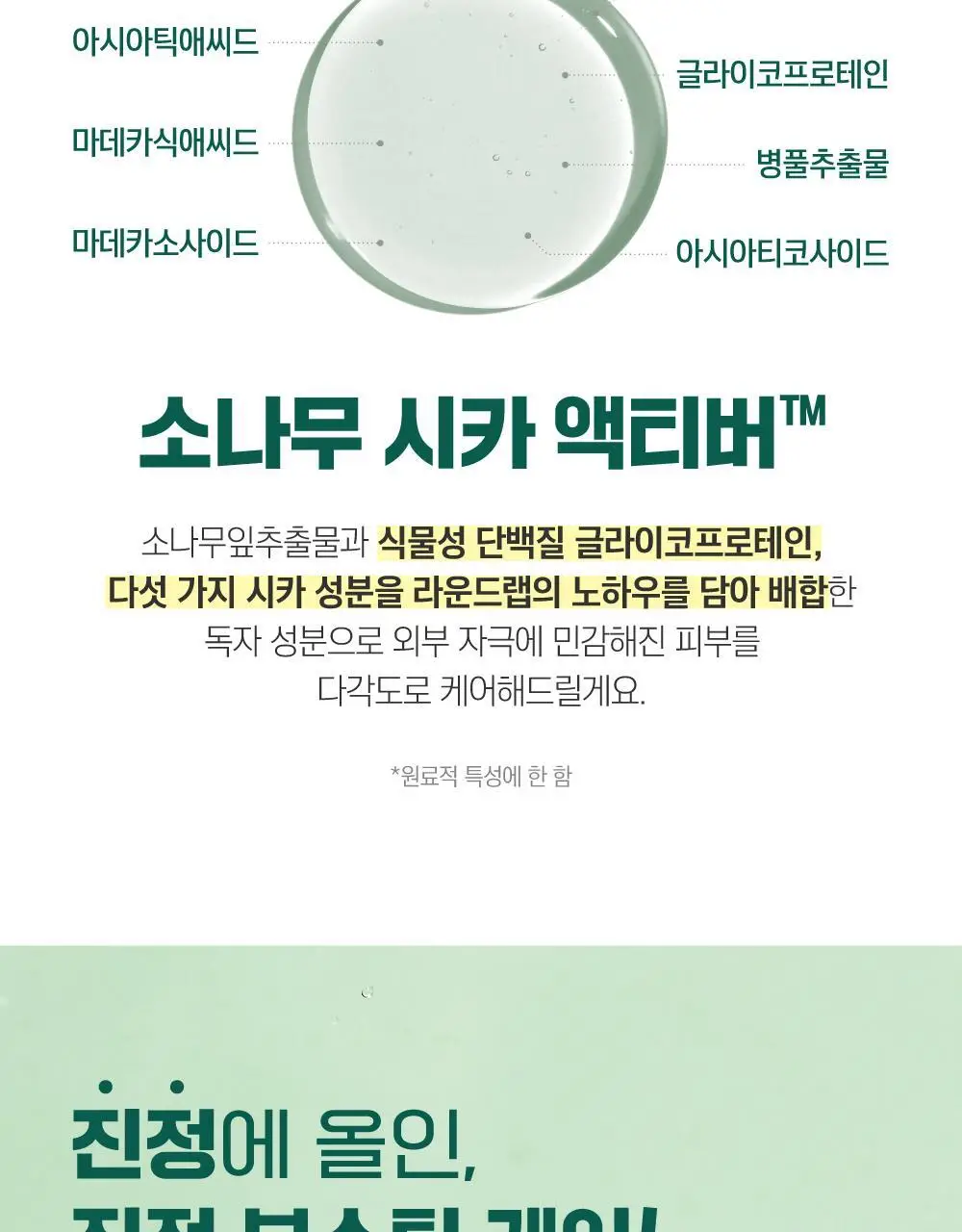 [민감진정/화해1위] 라운드랩 포 맨 소나무 진정 시카 로션 200ml 상세페이지 6